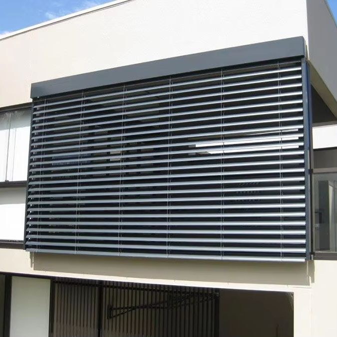 Solomatici crni -  